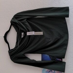 NWT Babaton from Aritzia Tencel Long-sleeve Shirt